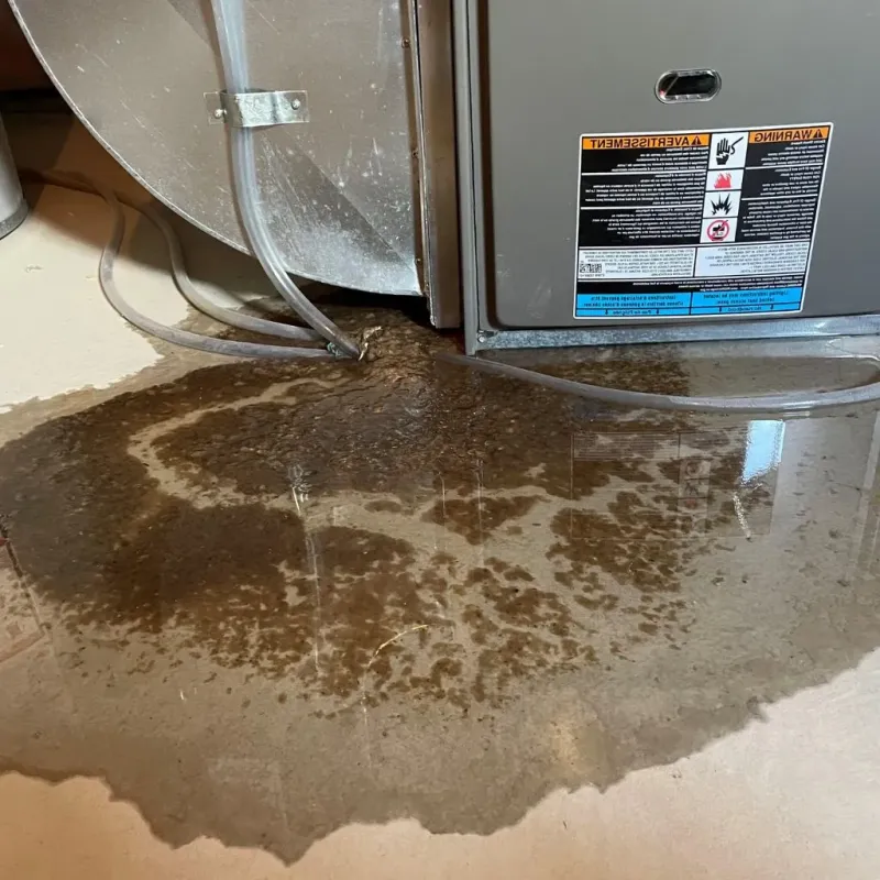 Pipe Burst and Leak Restoration in Narragansett, RI